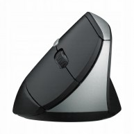 Mysz bezprzewodowa Rapoo EV250 ergonomiczna 2,4GHz